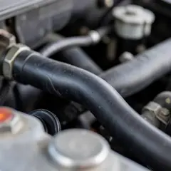 Drive belt and radiator hose